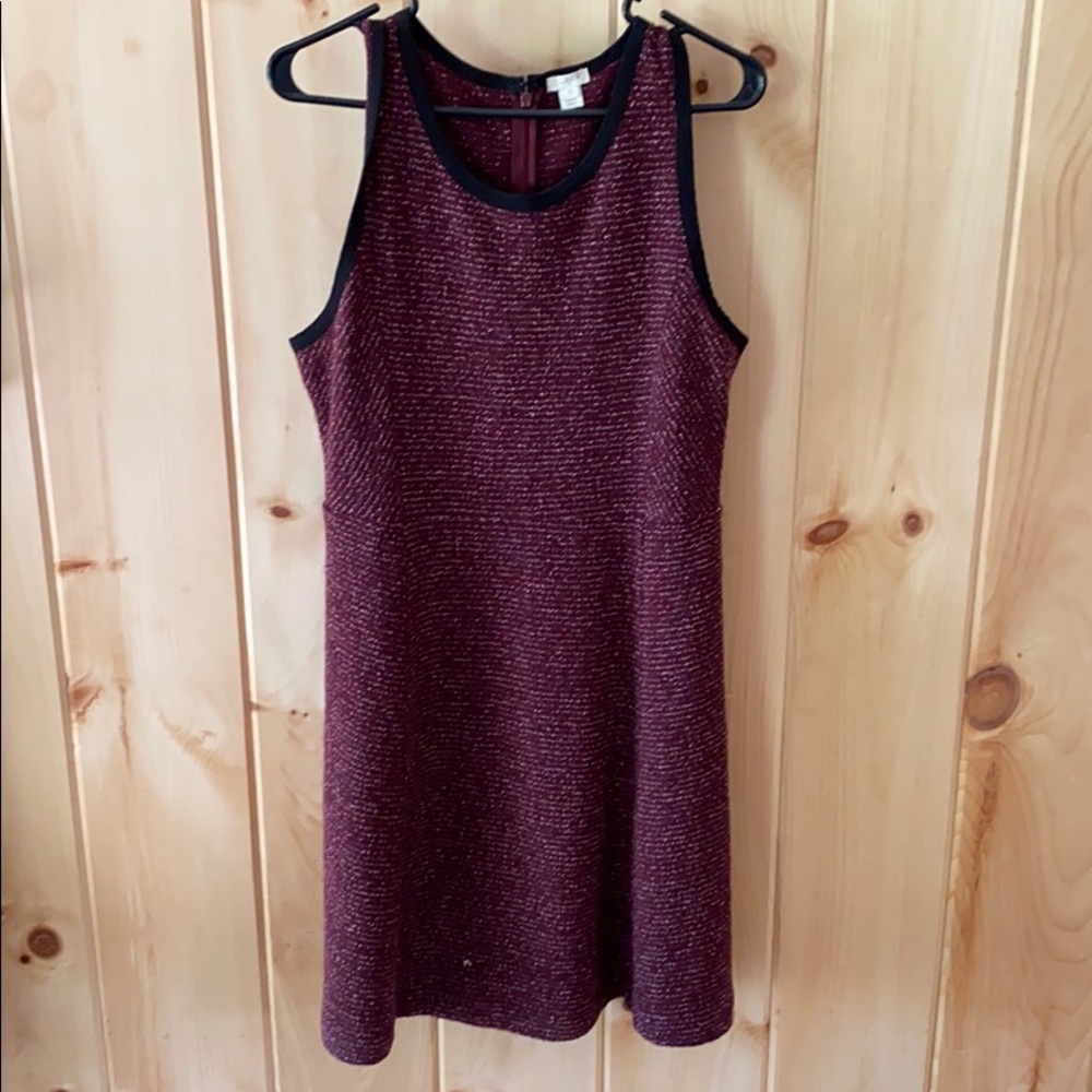 J. Crew Dress
